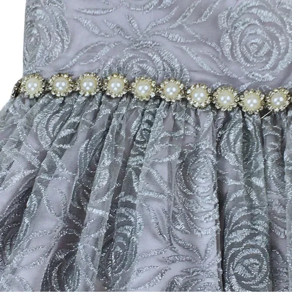 RARE EDITIONS Silver Tulle Lace Floral Princess Formal Layered Dress size 6X - Picture 3 of 16
